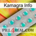 Kamagra Info 28